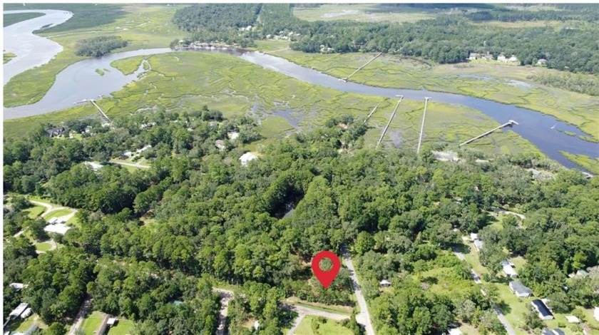 Two lots located in Shellman Bluff with no HOA. This property - Beach Lot for sale in Townsend, Georgia on Beachhouse.com