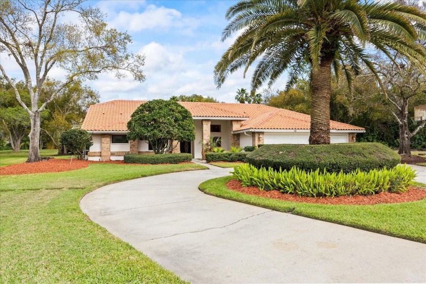 One or more photo(s) has been virtually staged. Welcome to the - Beach Home for sale in Oldsmar, Florida on Beachhouse.com