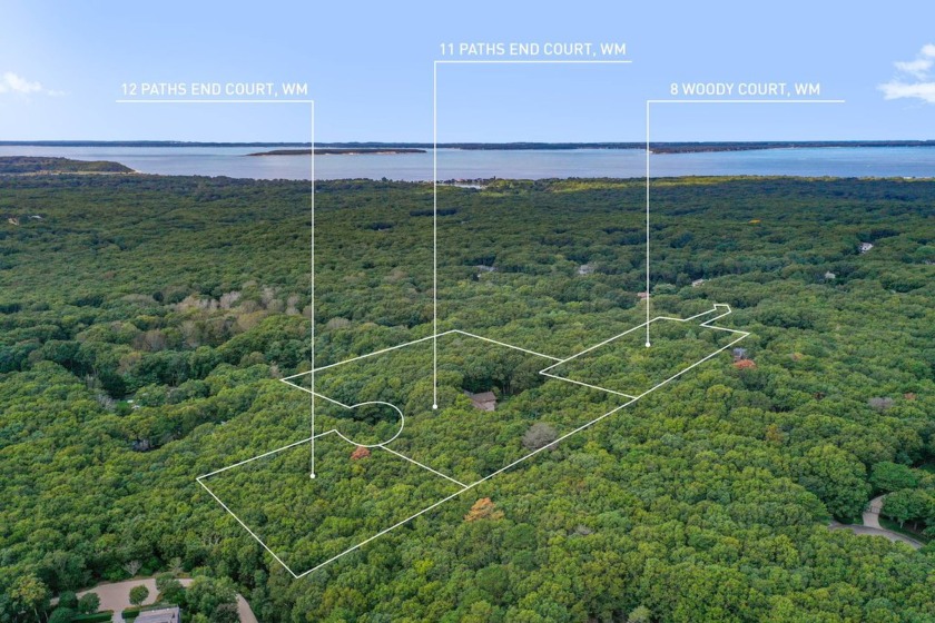 With three individual lots being sold together, these properties - Beach Home for sale in Water Mill, New York on Beachhouse.com