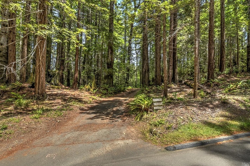 Build your coastal dream room nestled among majestic redwoods on - Beach Lot for sale in Sea Ranch, California on Beachhouse.com