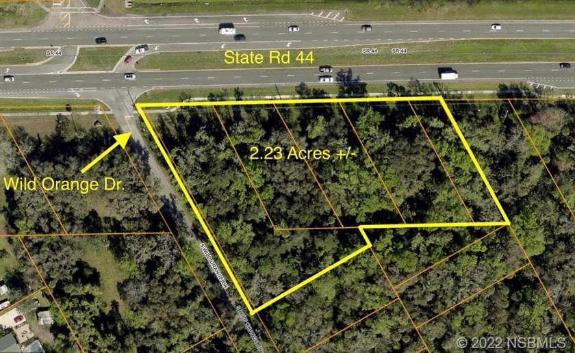 APPROXIMATELY 453 FEET OF STATE RD. 44 FRONTAGE. This sale - Beach Acreage for sale in New Smyrna Beach, Florida on Beachhouse.com