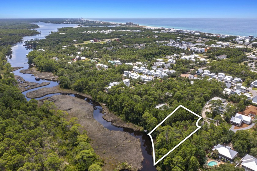 Discover this unique .56-acre waterfront lot leading to Lake - Beach Lot for sale in Inlet Beach, Florida on Beachhouse.com