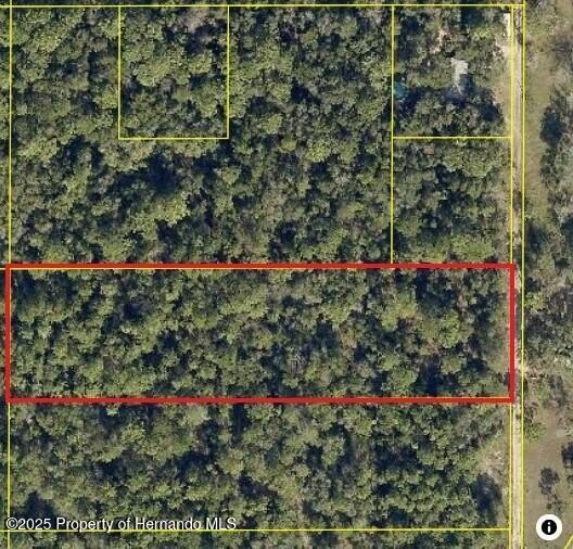 Discover the perfect opportunity to build your dream home on - Beach Acreage for sale in Spring Hill, Florida on Beachhouse.com
