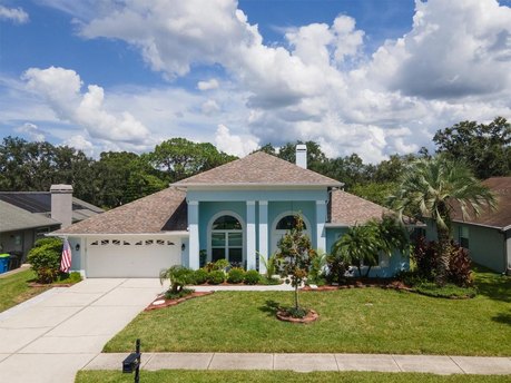 NOT IN A FLOD/EVACUATION ZONE, NO DAMAGE DURING RECENT - Beach Home for sale in Oldsmar, Florida on Beachhouse.com