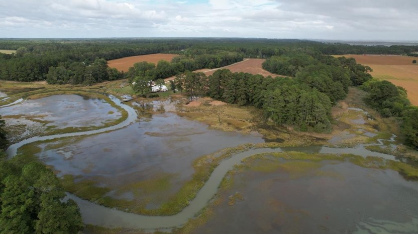 Scenic 35 ac. Seaside Waterfront Farm on Whites Creek at - Beach Home for sale in Parksley, Virginia on Beachhouse.com