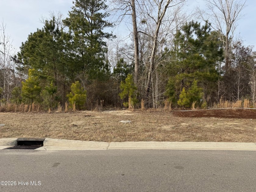 This beautiful lot is located inside The Bluffs on the Cape Fear - Beach Lot for sale in Leland, North Carolina on Beachhouse.com