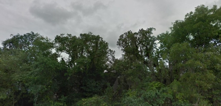 Wooded lot without HOA and CDD fees to pay and out of flood area - Beach Lot for sale in New Port Richey, Florida on Beachhouse.com