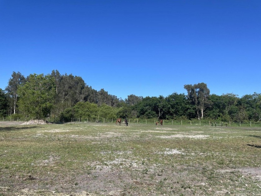 12398 Tangerine Boulevard - Beach Lot for sale in West Palm Beach, Florida on Beachhouse.com