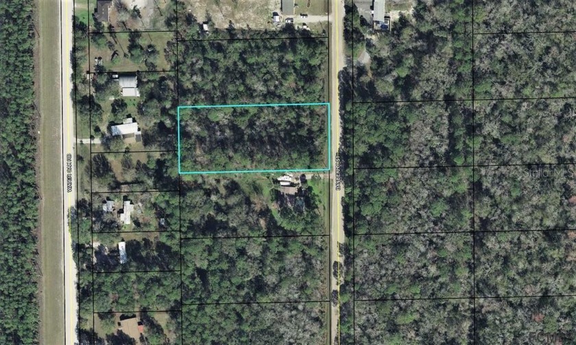 Nice 165x374' county lot.  Zoned for a manufactured home or site - Beach Lot for sale in Bunnell, Florida on Beachhouse.com