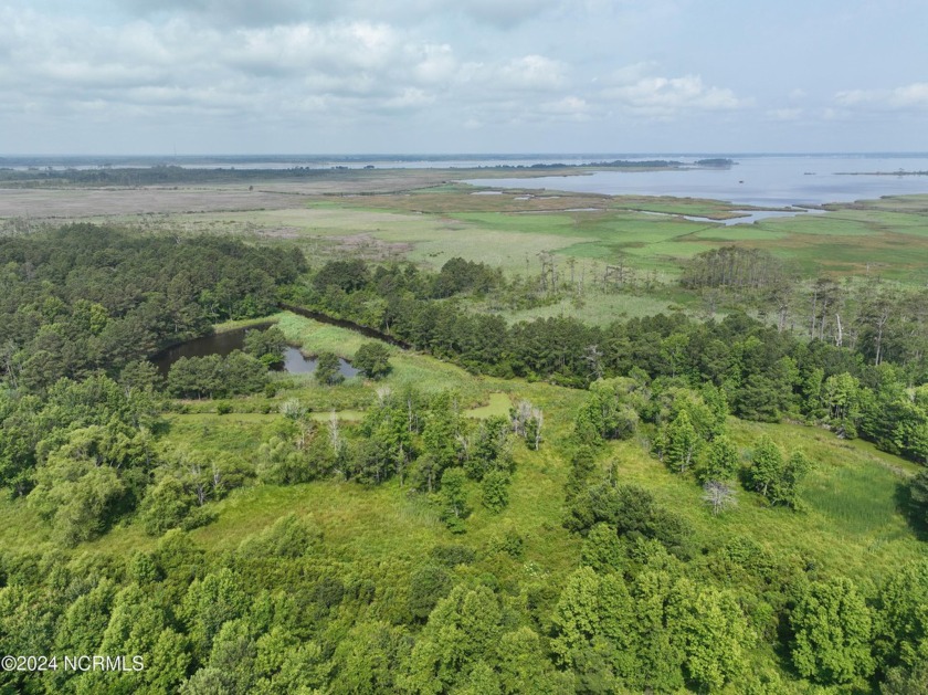 A beautiful property and a great place to watch the sun rise - Beach Acreage for sale in Coinjock, North Carolina on Beachhouse.com