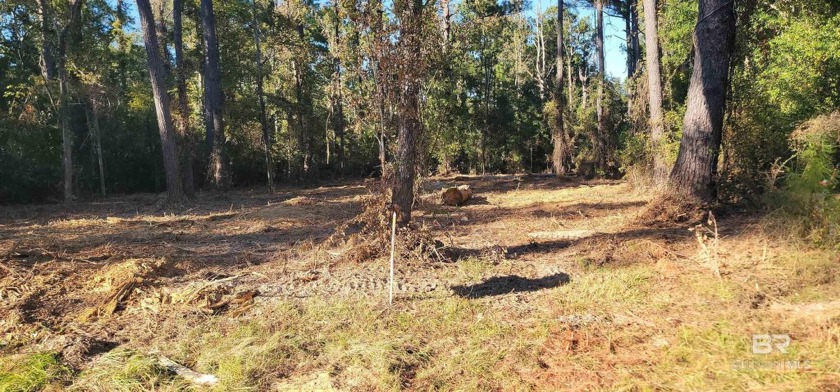 The Plantations At Fish River is a development located 5 minutes - Beach Lot for sale in Foley, Alabama on Beachhouse.com