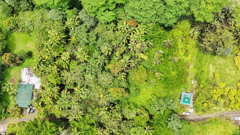 Lot for Sale - Pahoa Japanese Camp Rd  Don't miss this - Beach Lot for sale in Pahoa, Hawaii on Beachhouse.com