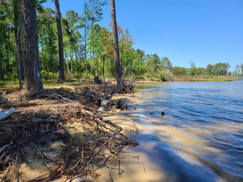 Beautiful views overlooking the scenic Goose Creek, intracoastal - Beach Lot for sale in Aurora, North Carolina on Beachhouse.com