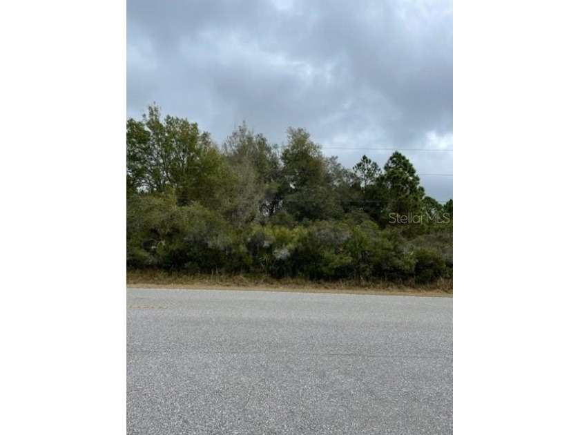 Why not build here? Quiet location in North Port.
Builders come - Beach Lot for sale in North Port, Florida on Beachhouse.com