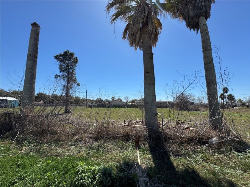 Four adjacent lots, totaling 0.5969 acres (200x130 feet), offer - Beach Lot for sale in Rockport, Texas on Beachhouse.com