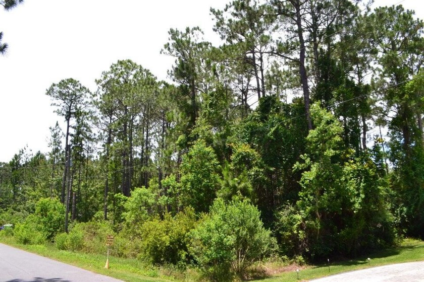 Location! Location! Location! A true find if seeking a vacant - Beach Lot for sale in Santa Rosa Beach, Florida on Beachhouse.com