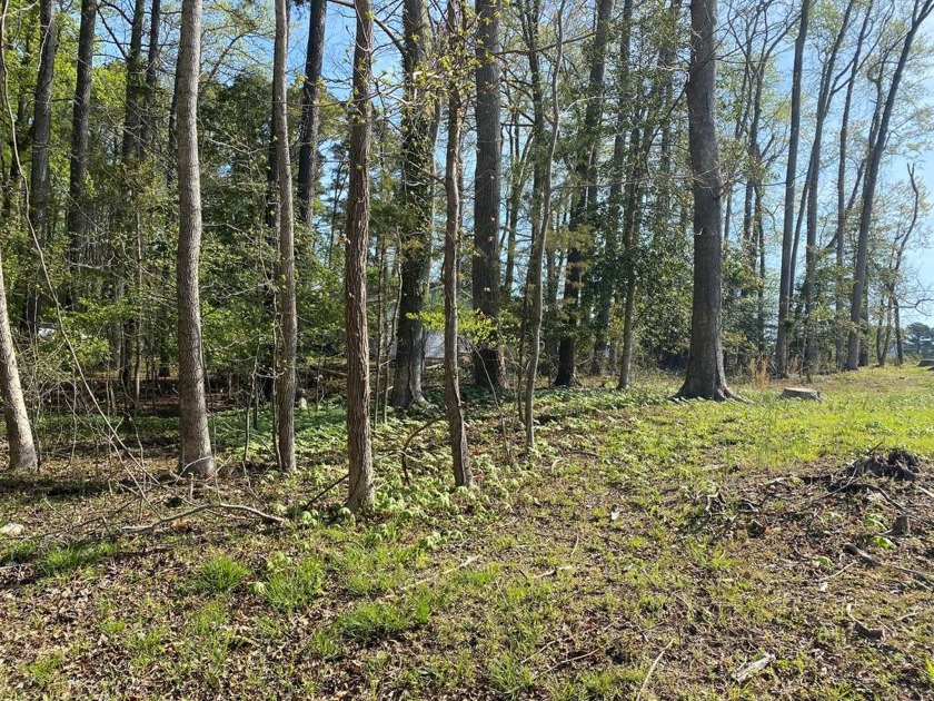 Wooded golf course lot located on Captain's Corridor.  Perc on - Beach Lot for sale in Greenbackville, Virginia on Beachhouse.com