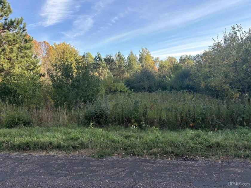 Great 12+ Acre parcel in Ironwood Township just minutes from - Beach Acreage for sale in Ironwood, Michigan on Beachhouse.com