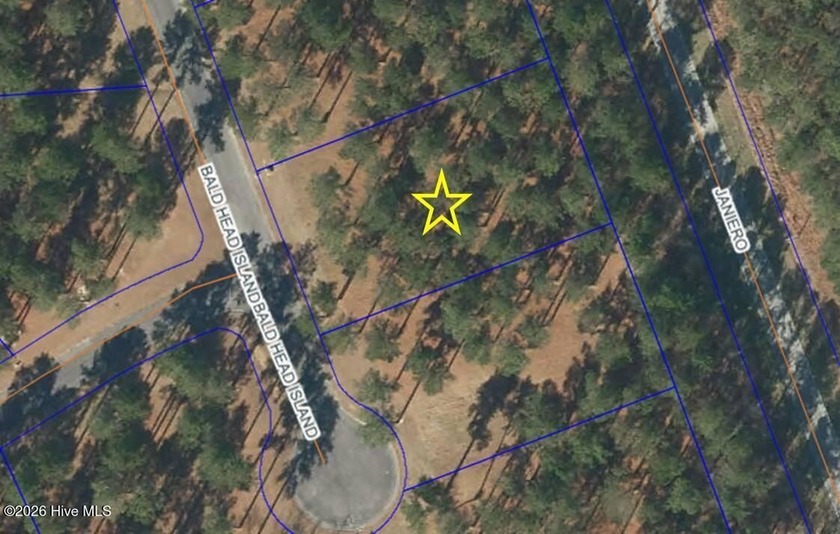 AFFORDABLE, (1) of (3) BUILDABLE LOTS, FOR SALE BY THE SAME - Beach Lot for sale in Oriental, North Carolina on Beachhouse.com