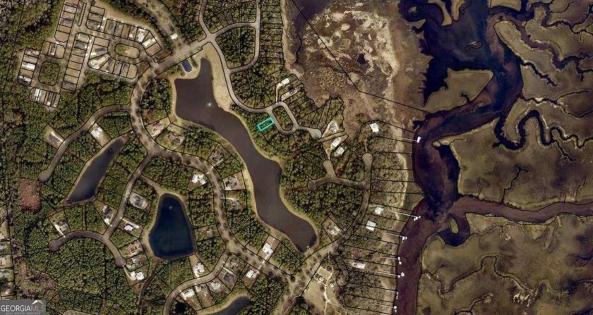 Discover this beautiful building lot with a South Western view - Beach Lot for sale in Saint Marys, Georgia on Beachhouse.com