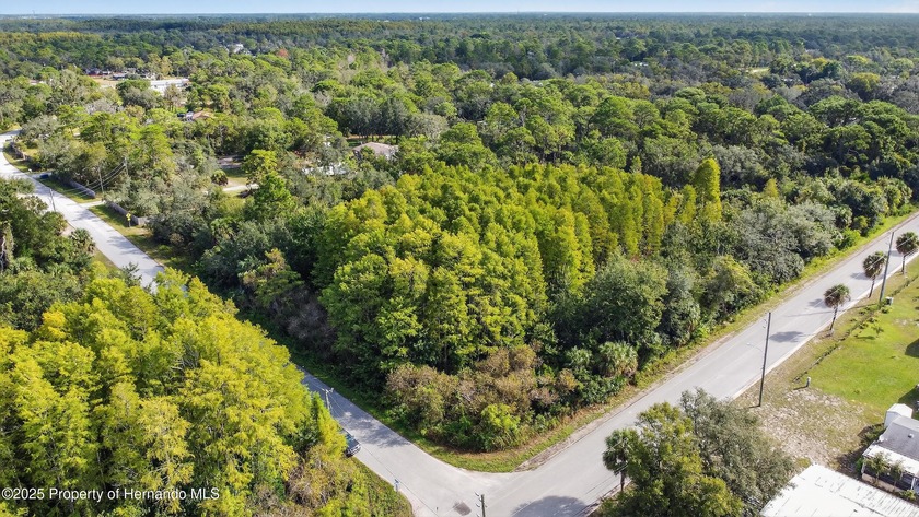 Welcome to your dream property in sunny Hudson, FL! This vacant - Beach Acreage for sale in Hudson, Florida on Beachhouse.com