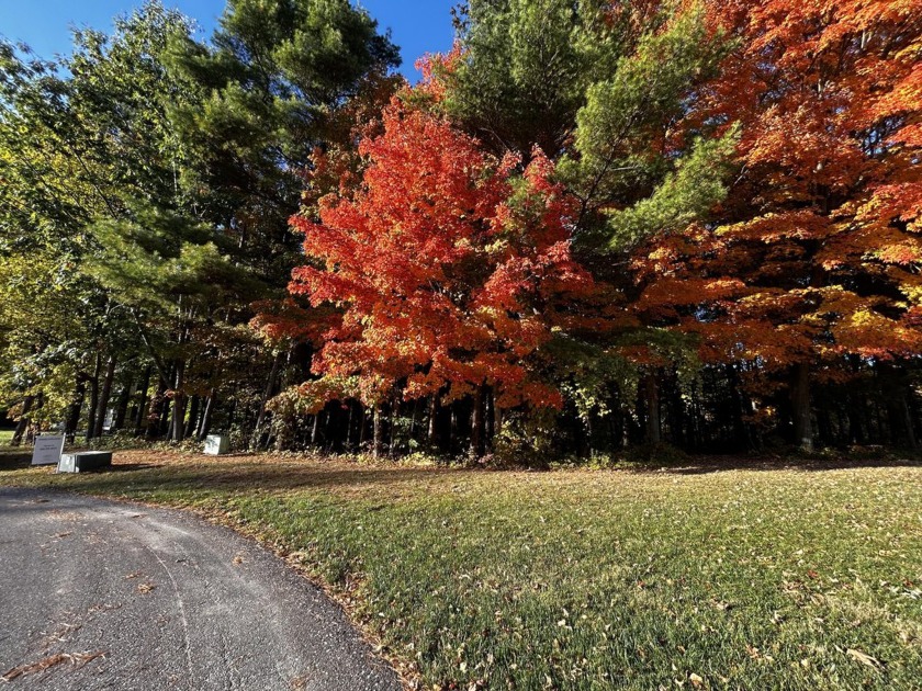 Beautiful building site with a ravine in the back, just minutes - Beach Lot for sale in South Haven, Michigan on Beachhouse.com