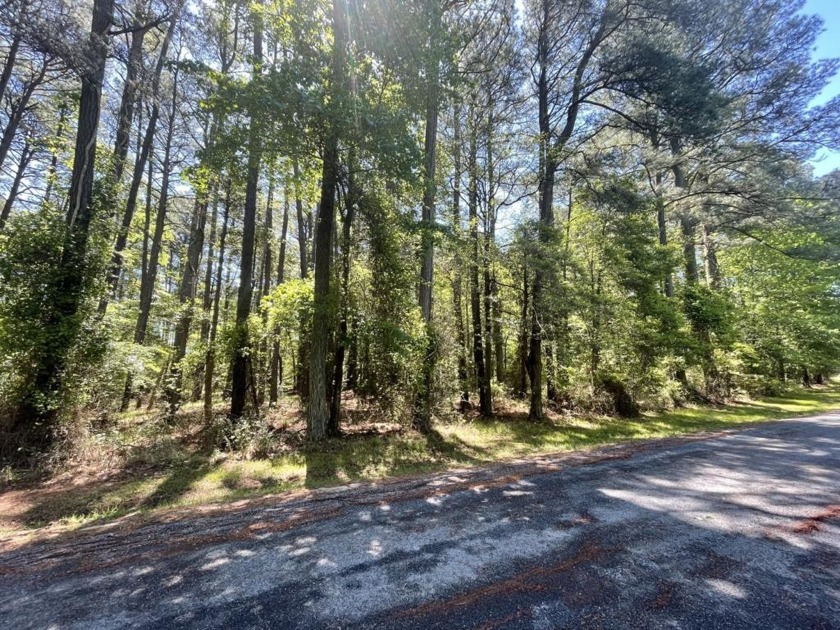Section 1 Lot# 1074. This Level/Wooded lot has water - Beach Lot for sale in Greenbackville, Virginia on Beachhouse.com