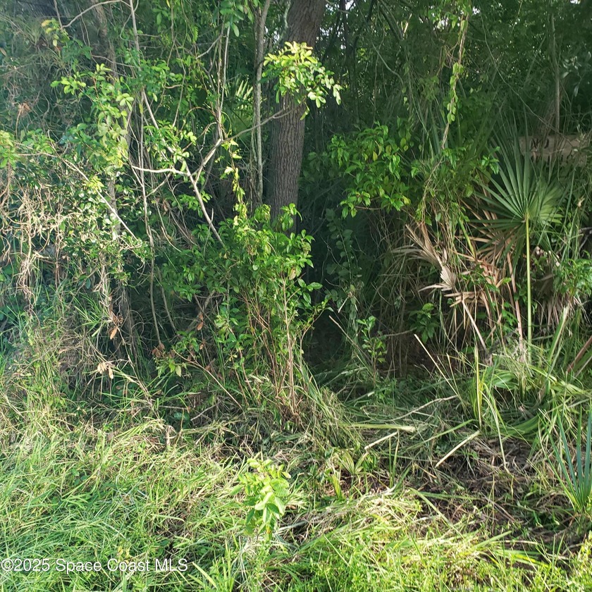 Beautiful Treed Lots, priced at $129,900 each. Currently one lot - Beach Lot for sale in Merritt Island, Florida on Beachhouse.com