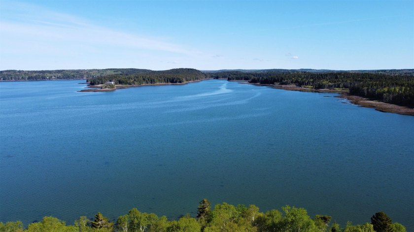 An expansive double oceanfront lot with 4.3 acres on an elevated - Beach Acreage for sale in Machiasport, Maine on Beachhouse.com