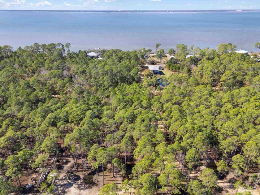 Discover the perfect location for your dream home! This quiet - Beach Lot for sale in Milton, Florida on Beachhouse.com