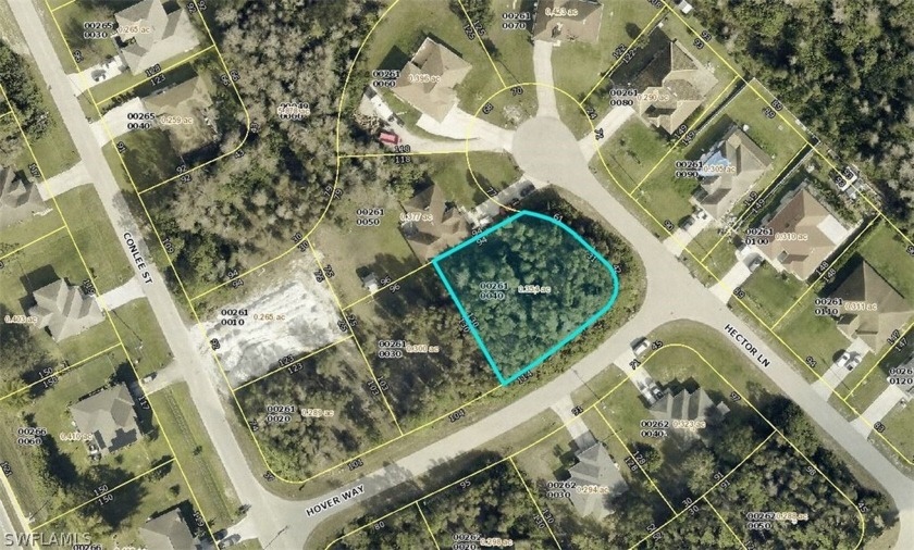 Don't miss out on this desirable Lehigh lot to build your new - Beach Lot for sale in Lehigh Acres, Florida on Beachhouse.com