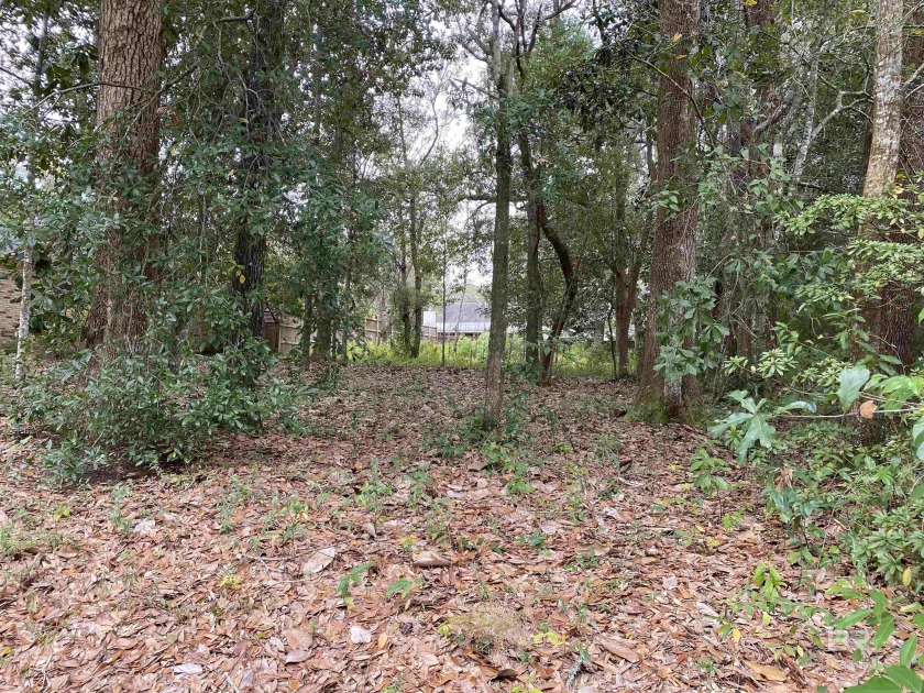 This property is a rare find for those dreaming of building your - Beach Lot for sale in Fairhope, Alabama on Beachhouse.com