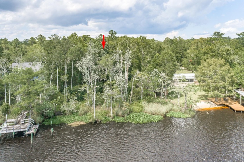 River front~ Spectacular vacant lot with outstanding views of - Beach Lot for sale in Sopchoppy, Florida on Beachhouse.com