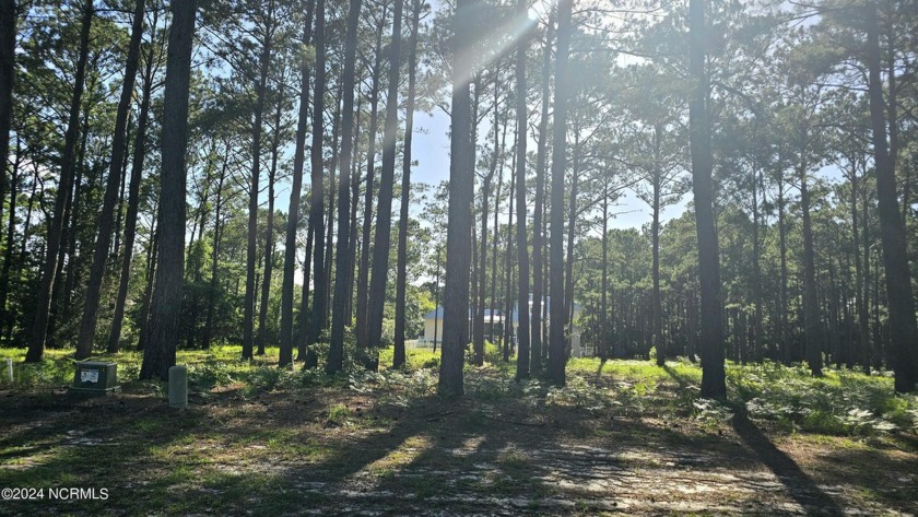 Beautiful lot on a pond located in the Private Development of - Beach Lot for sale in Southport, North Carolina on Beachhouse.com