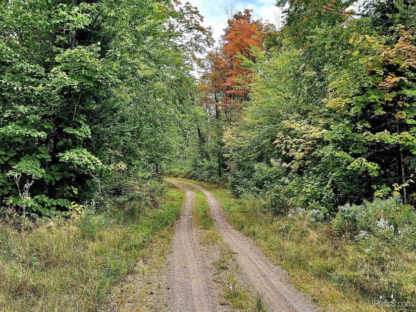 40 Acre parcel OFF Karanen Rd. in Erwin Twp.  Affordable and - Beach Acreage for sale in Ironwood, Michigan on Beachhouse.com