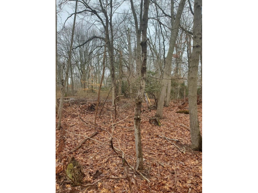 Discover the perfect opportunity to build your dream home in the - Beach Lot for sale in Saint James, New York on Beachhouse.com