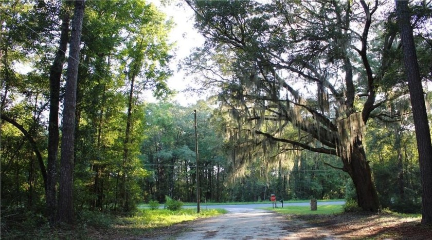 Welcome to White Chimney Cove, a charming coastal subdivision - Beach Lot for sale in Townsend, Georgia on Beachhouse.com