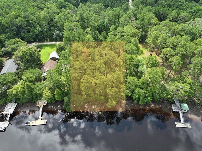 Imagine waking up to the gentle sounds of the river and spending - Beach Lot for sale in Woodbine, Georgia on Beachhouse.com