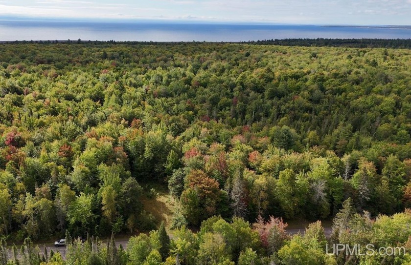 Beautiful, heavily wooded Keweenaw County property near Lake - Beach Acreage for sale in Lake Linden, Michigan on Beachhouse.com