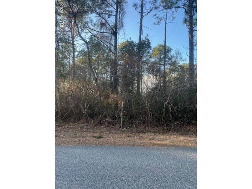 Approximately .37 Acres to be waterfront once lakes are back - Beach Lot for sale in Southport, North Carolina on Beachhouse.com