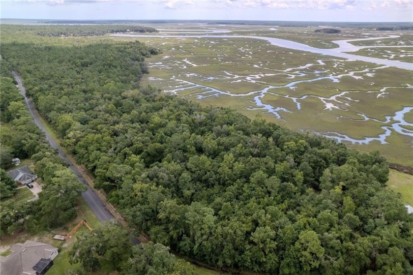 RARE WATERFRONT OPPORTUNITY TO OWN 5.02 ACRES ON CROOKED RIVER - Beach Acreage for sale in Woodbine, Georgia on Beachhouse.com