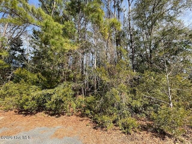 Convenient Location with privacy!! Build your dream home on this - Beach Lot for sale in Wilmington, North Carolina on Beachhouse.com