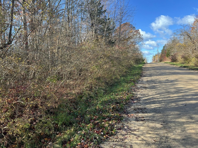 Make your dreams a reality with this spacious lot, recently - Beach Lot for sale in South Haven, Michigan on Beachhouse.com