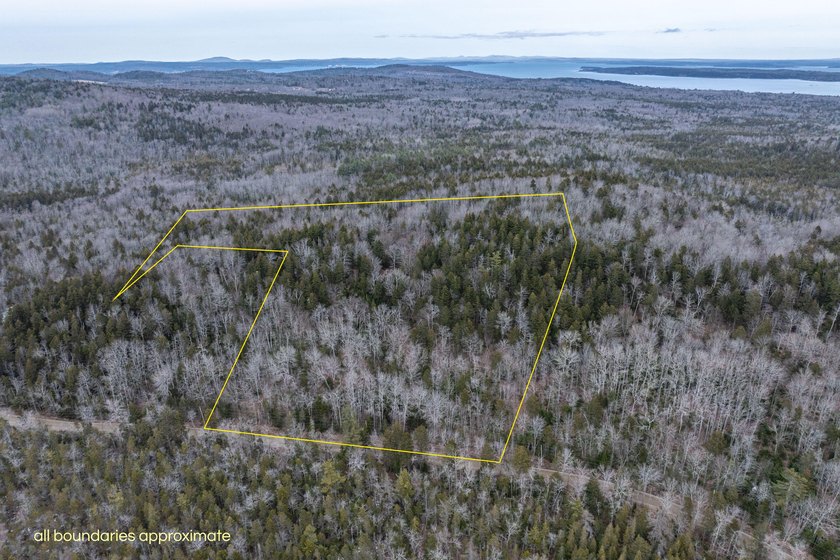Discover the opportunity to create your mountain sanctuary on - Beach Acreage for sale in Northport, Maine on Beachhouse.com