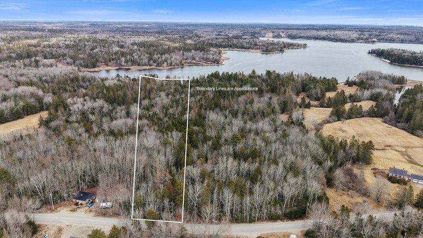 Nearly 5 acres of wooded land unfold gently toward almost 142 - Beach Acreage for sale in Gouldsboro, Maine on Beachhouse.com