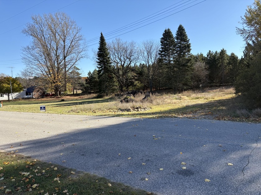 1/2 acre lot ready to built upon in a great community - Beach Lot for sale in Free Soil, Michigan on Beachhouse.com