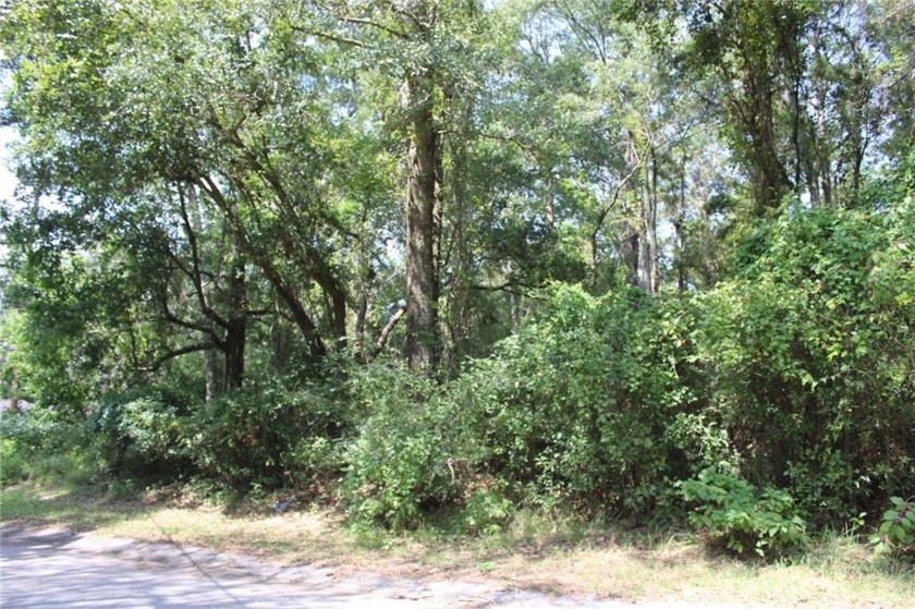 Welcome to your new homesite. This wooded lot is ready for you - Beach Home for sale in Theodore, Alabama on Beachhouse.com