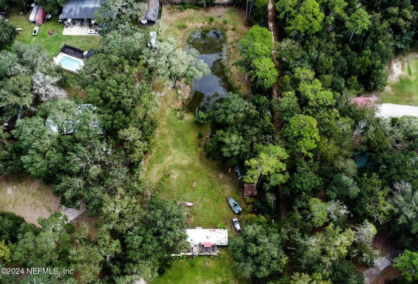 1.27 Acres with Pond, Fruit Trees  No HOA - Best Value in 
 - Beach Home for sale in Saint Johns, Florida on Beachhouse.com