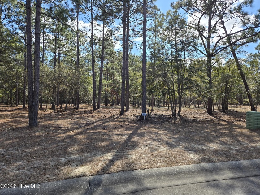 Beautiful waterfront community with 75 slip marina and launch on - Beach Lot for sale in Supply, North Carolina on Beachhouse.com