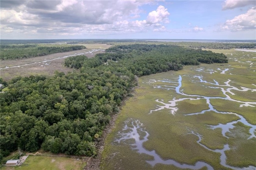 DISCOVER 6 ACRES OF PRISTINE WATERFRONT PROPERTY, INCLUDING 1.54 - Beach Acreage for sale in Woodbine, Georgia on Beachhouse.com
